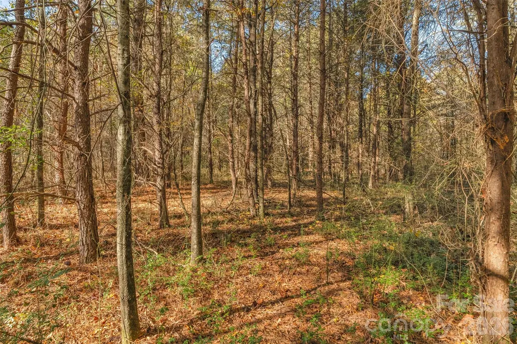 0000 Bud Davis Road Vale NC 28168