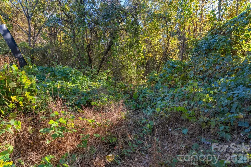 0000 Bud Davis Road Vale NC 28168