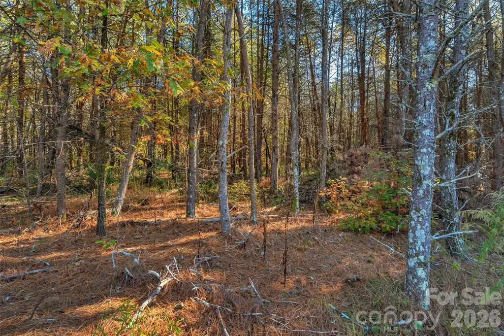 0000 Bud Davis Road Vale NC 28168