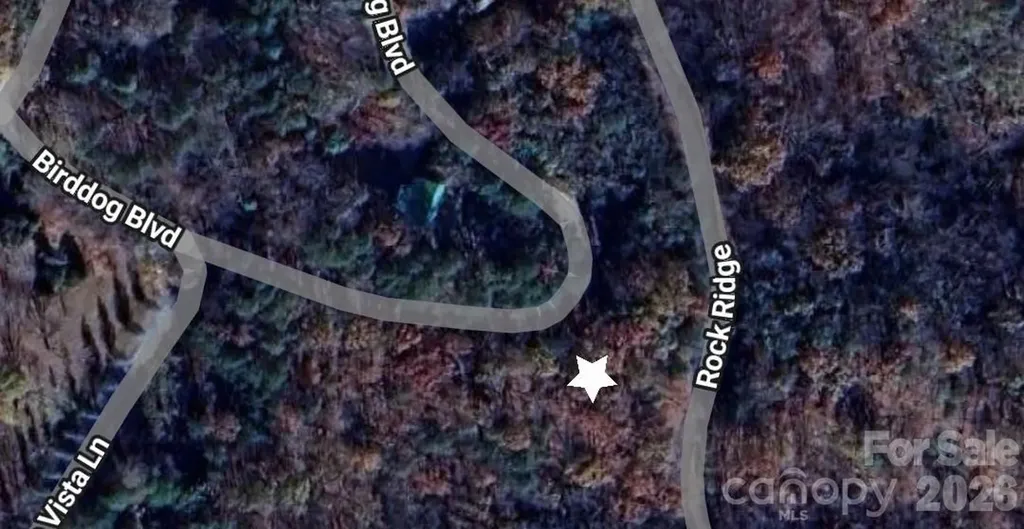 0 Birddog Boulevard Lake Lure NC 28746