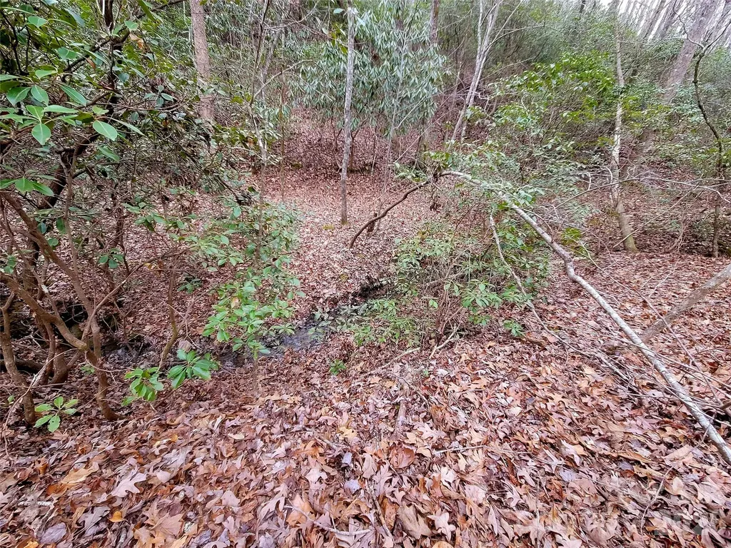 0 Birddog Boulevard Lake Lure NC 28746