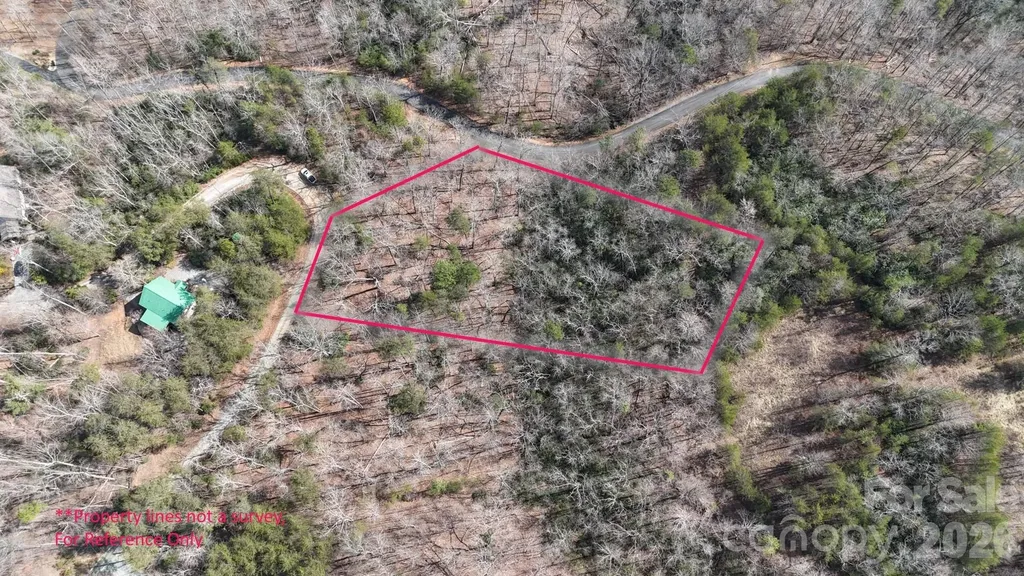 0 Birddog Boulevard Lake Lure NC 28746