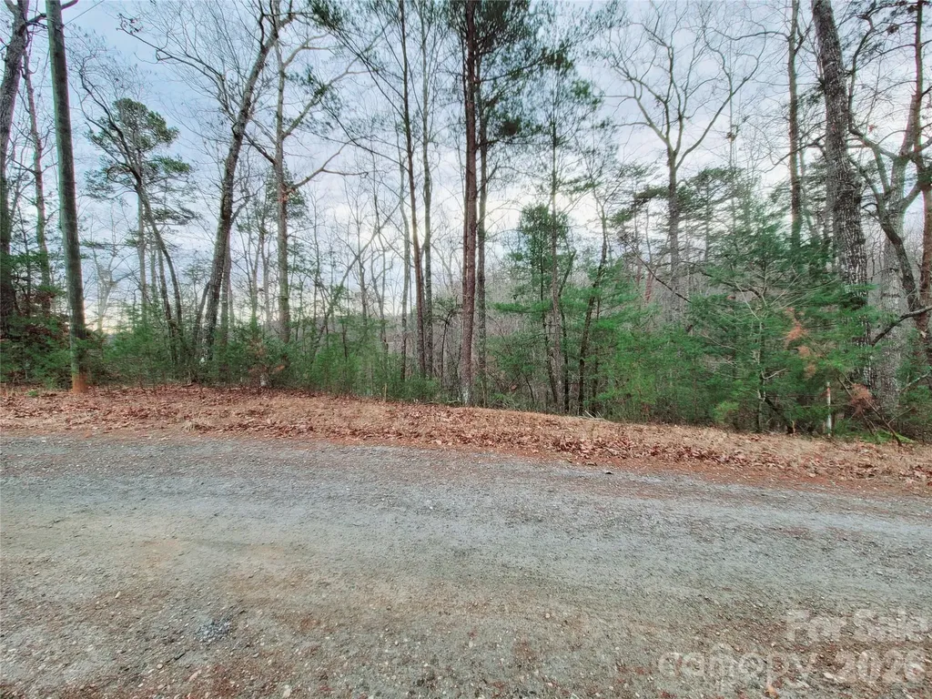 0 Birddog Boulevard Lake Lure NC 28746