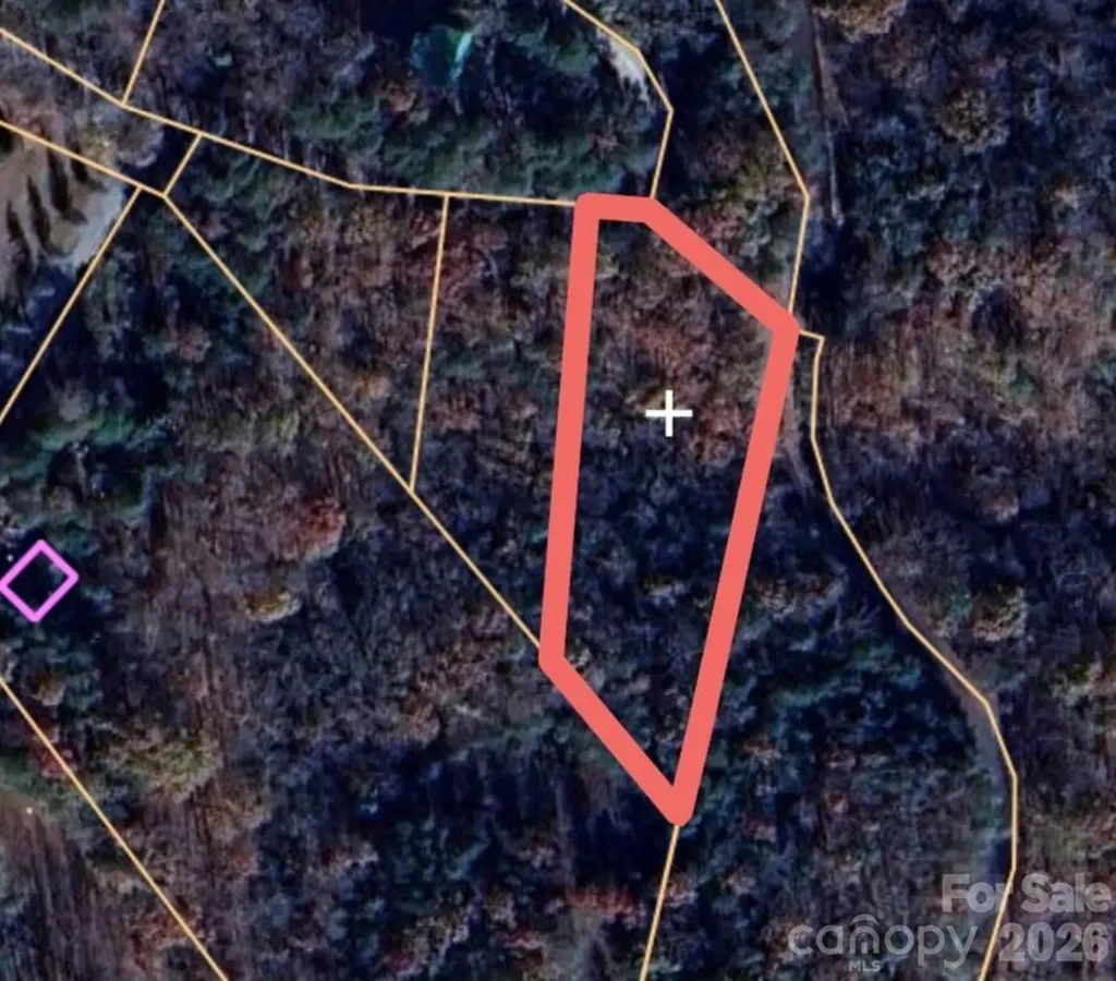 0 Birddog Boulevard Lake Lure NC 28746