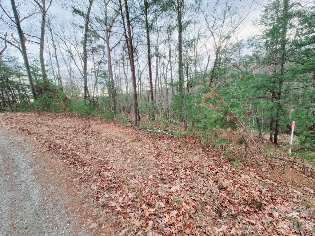 0 Birddog Boulevard Lake Lure NC 28746