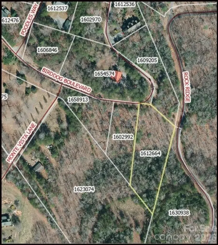 0 Birddog Boulevard Lake Lure NC 28746