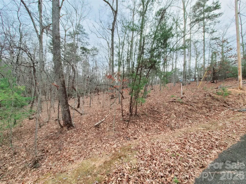 0 Birddog Boulevard Lake Lure NC 28746
