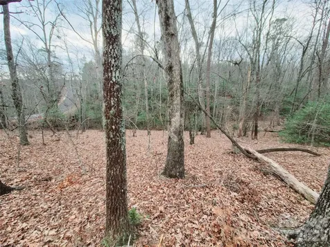 0 Birddog Boulevard Lake Lure NC 28746