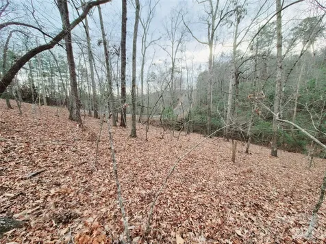 0 Birddog Boulevard Lake Lure NC 28746