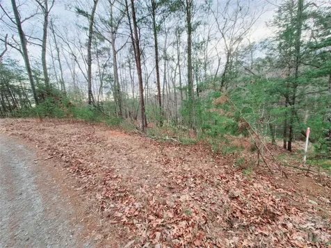 0 Birddog Boulevard Lake Lure NC 28746