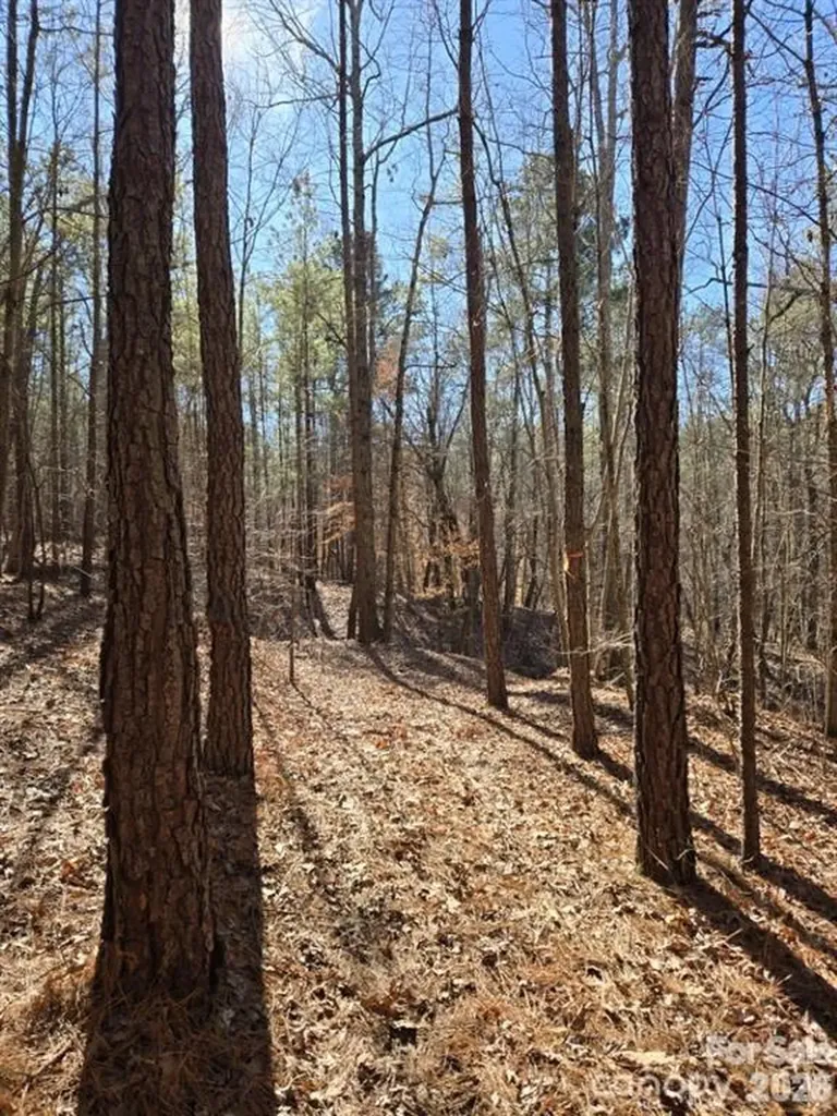 109 Nc Highway 109 Highway N Wadesboro NC 28170