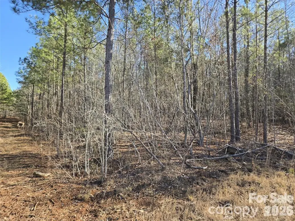 109 Nc Highway 109 Highway N Wadesboro NC 28170