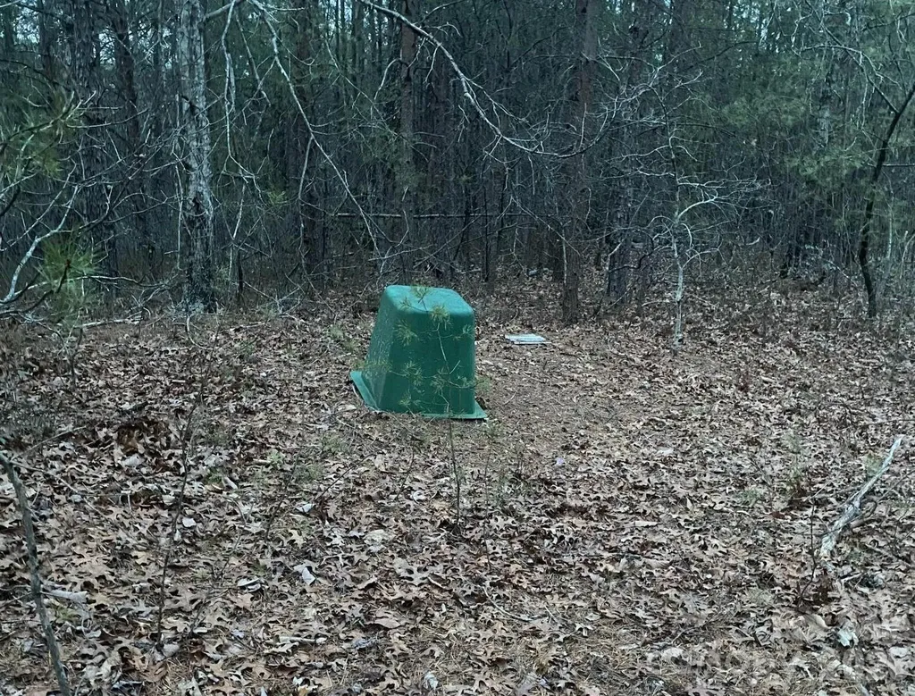 000 Froggyville Lane Mill Spring NC 28756