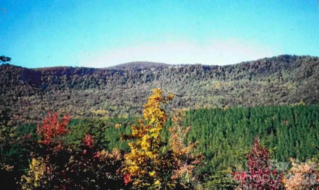000 Froggyville Lane Mill Spring NC 28756