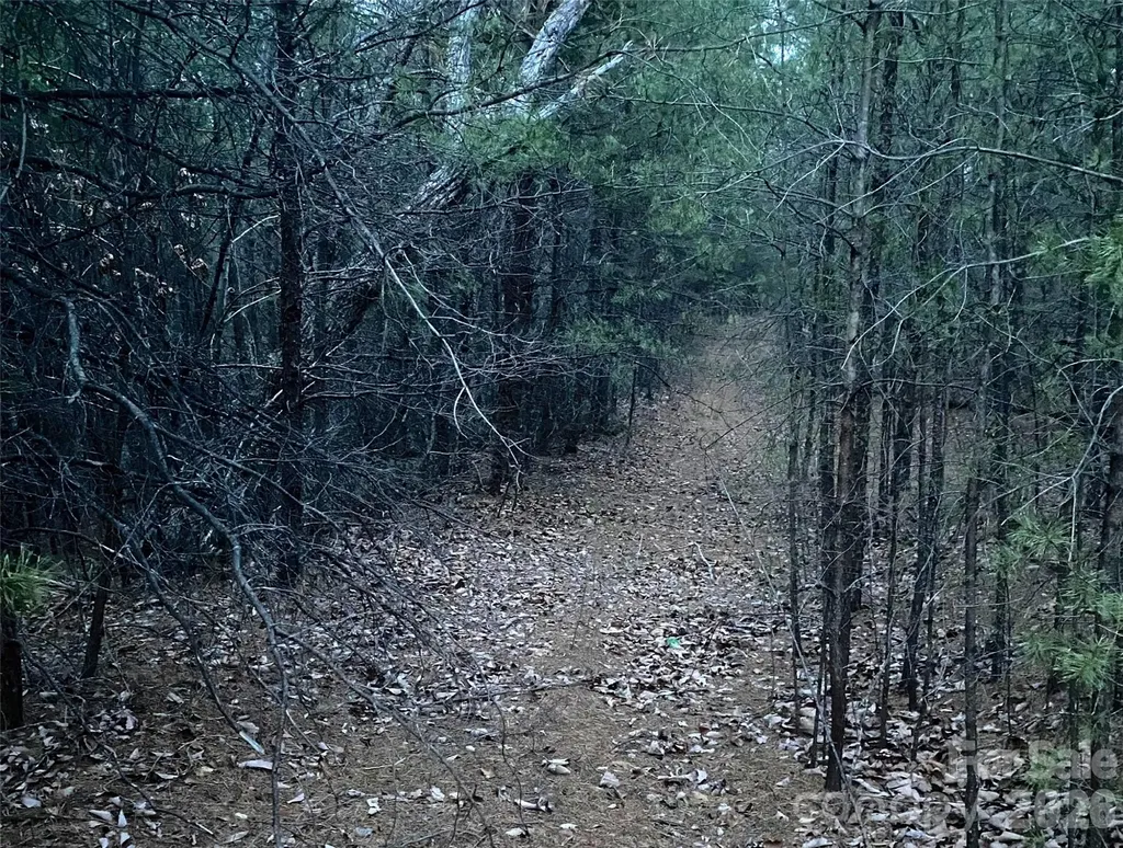000 Froggyville Lane Mill Spring NC 28756