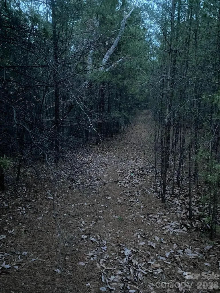 000 Froggyville Lane Mill Spring NC 28756