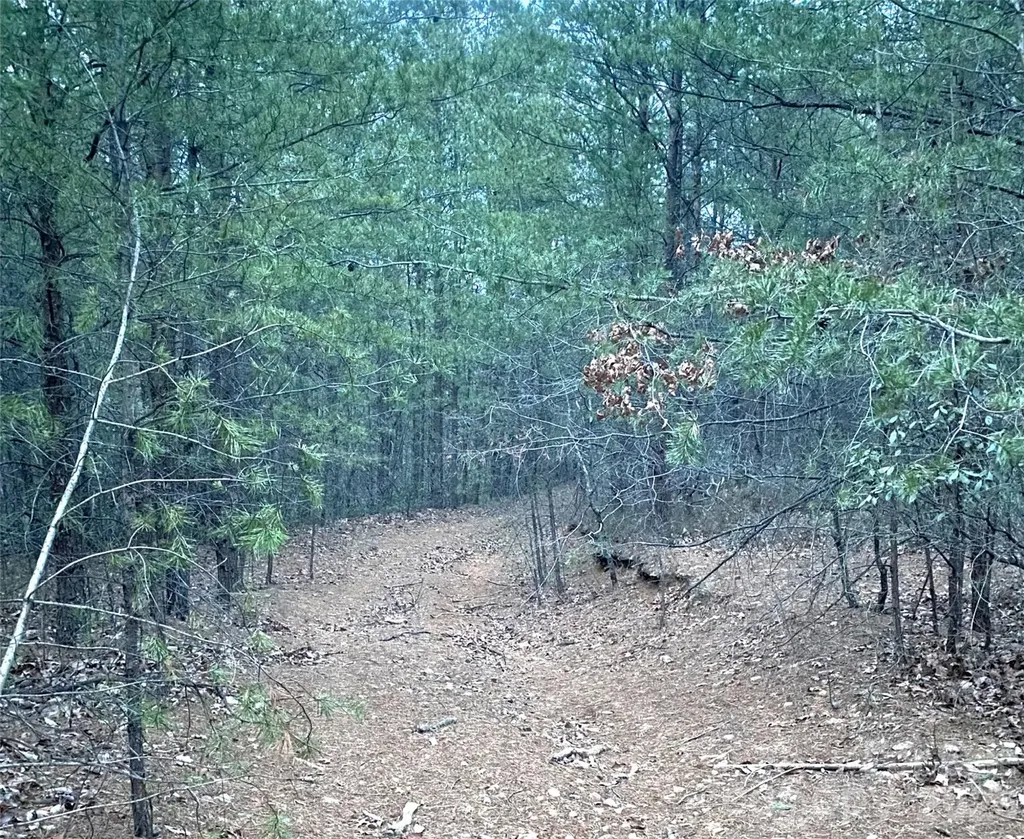 000 Froggyville Lane Mill Spring NC 28756