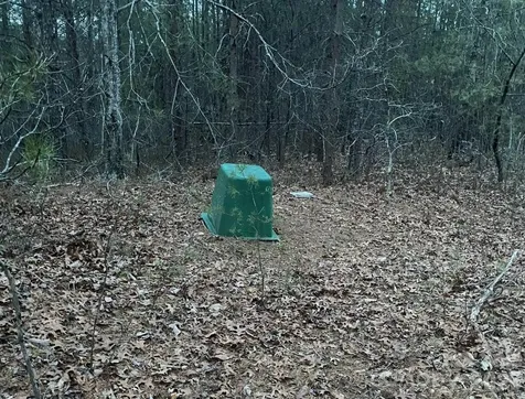 000 Froggyville Lane Mill Spring NC 28756