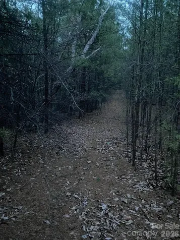 000 Froggyville Lane Mill Spring NC 28756