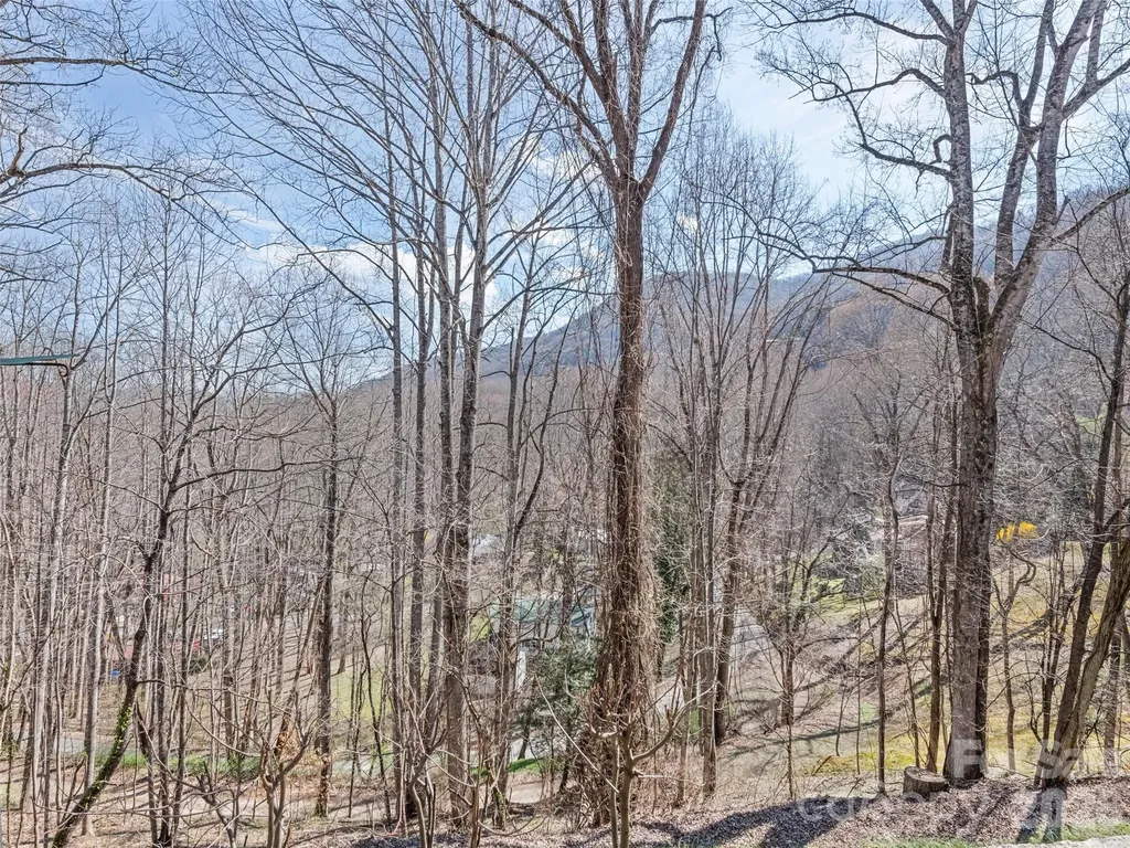 37 George Circle Maggie Valley NC 28751