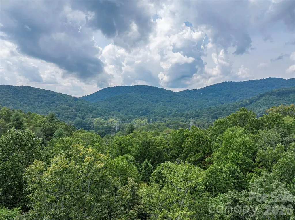 116 Ivy Road Mills River NC 28759