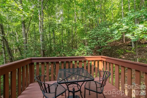 116 Ivy Road Mills River NC 28759
