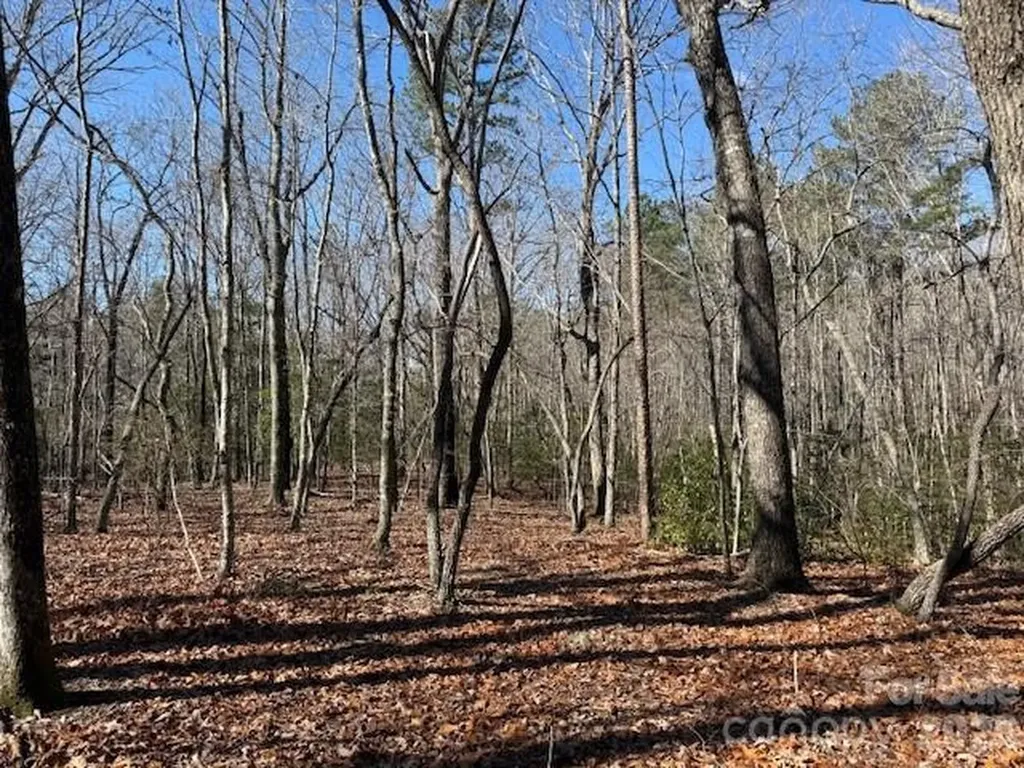 0 Thayer Road Troy NC 27371