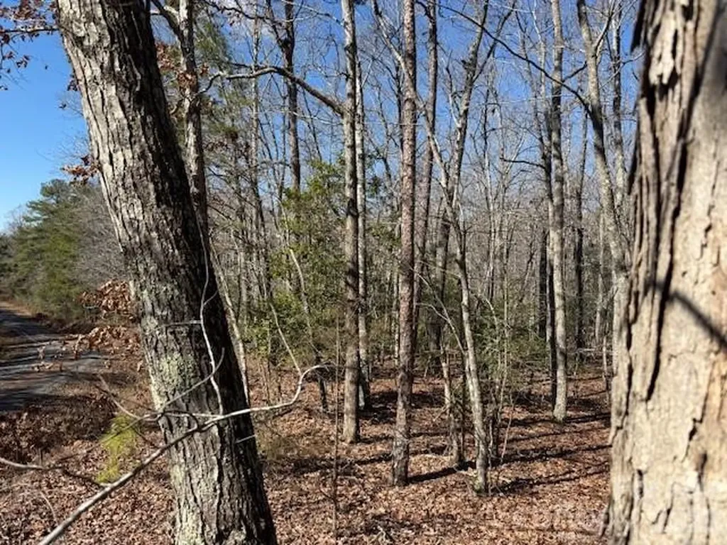 0 Thayer Road Troy NC 27371