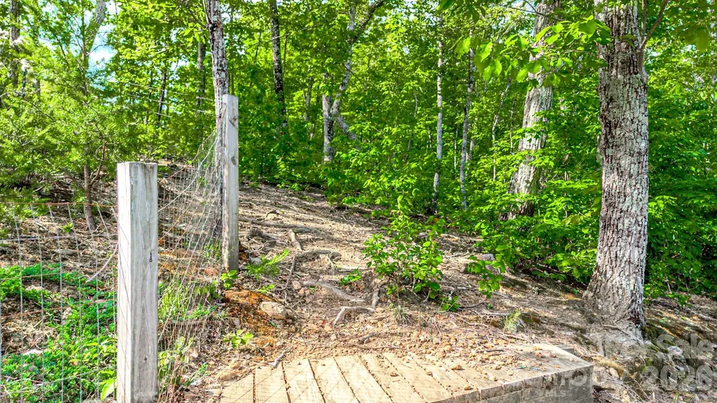 485 Mountain Lookout Drive Bostic NC 28018