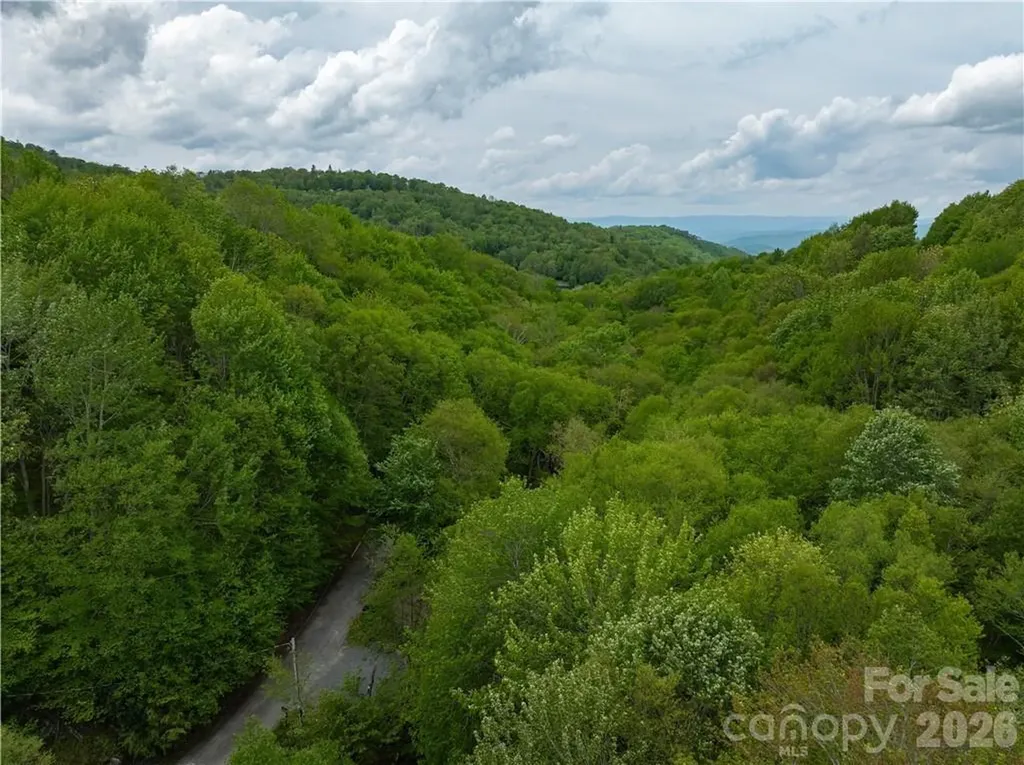 101 Indian Trail Beech Mountain NC 28604