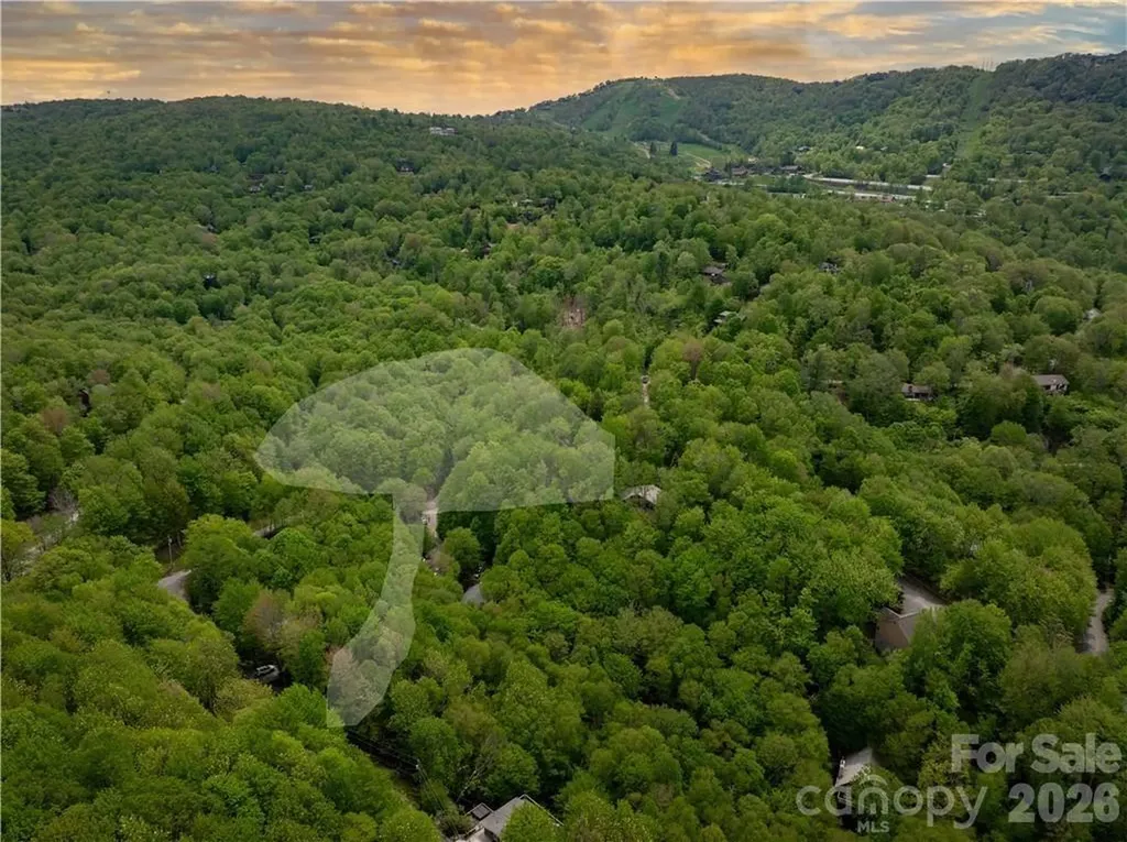 101 Indian Trail Beech Mountain NC 28604