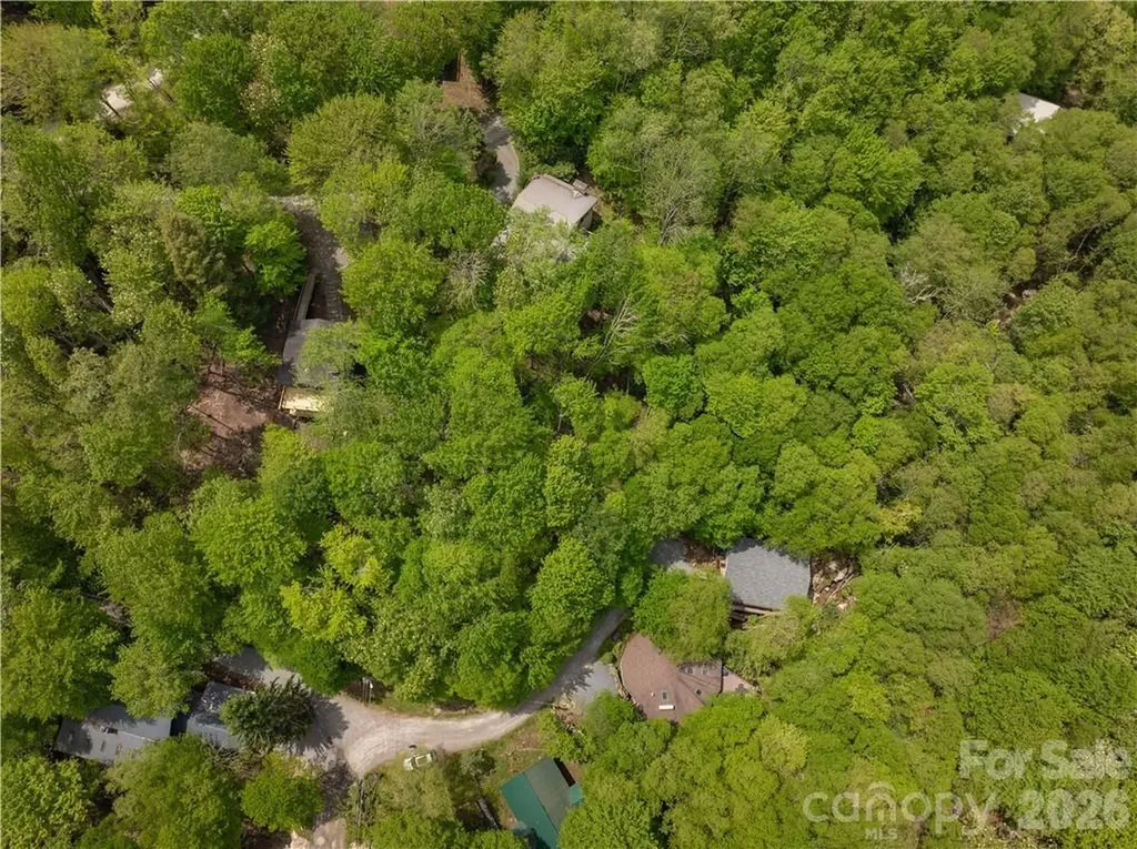 101 Indian Trail Beech Mountain NC 28604