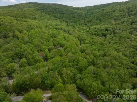 101 Indian Trail Beech Mountain NC 28604