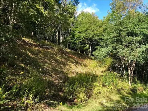 Tbd Wakeman Way Banner Elk NC 28604