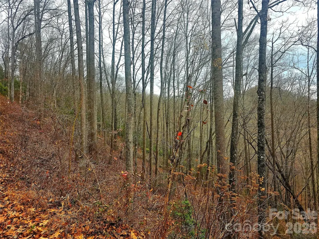 21 Long Winding Road Sylva NC 28779