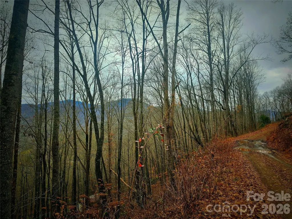 21 Long Winding Road Sylva NC 28779