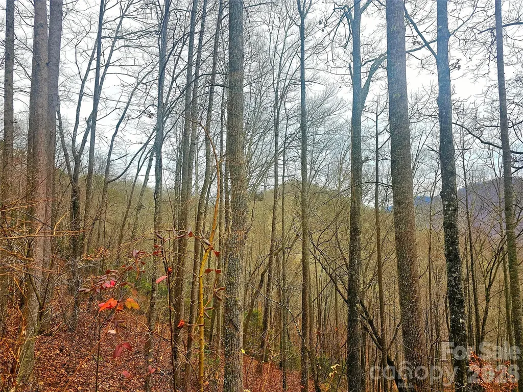 0 Quiet Cove Road Sylva NC 28779