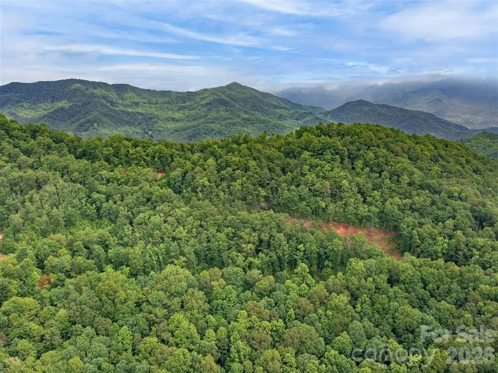0 Quiet Cove Road Sylva NC 28779