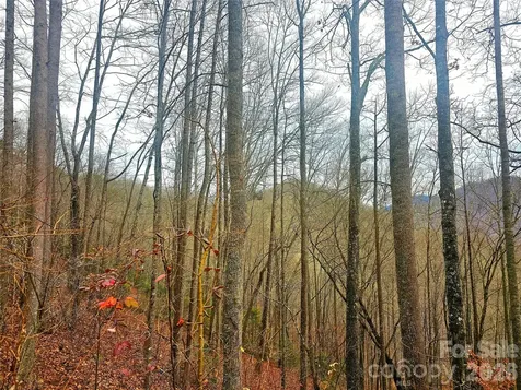 0 Quiet Cove Road Sylva NC 28779