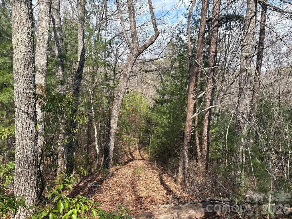 00 Round Hill Road Bryson City NC 28713