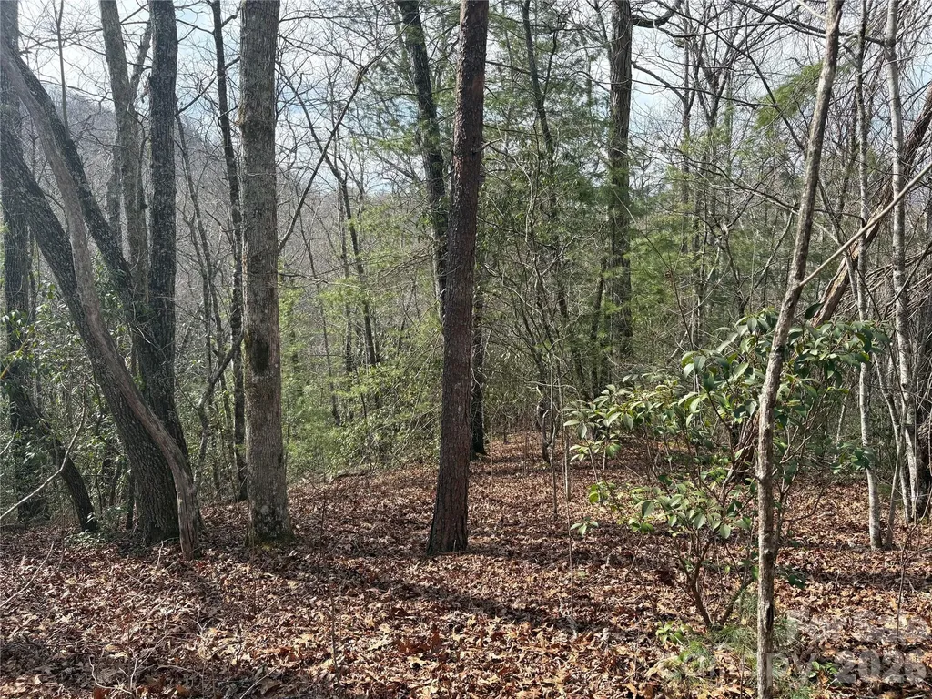 00 Round Hill Road Bryson City NC 28713
