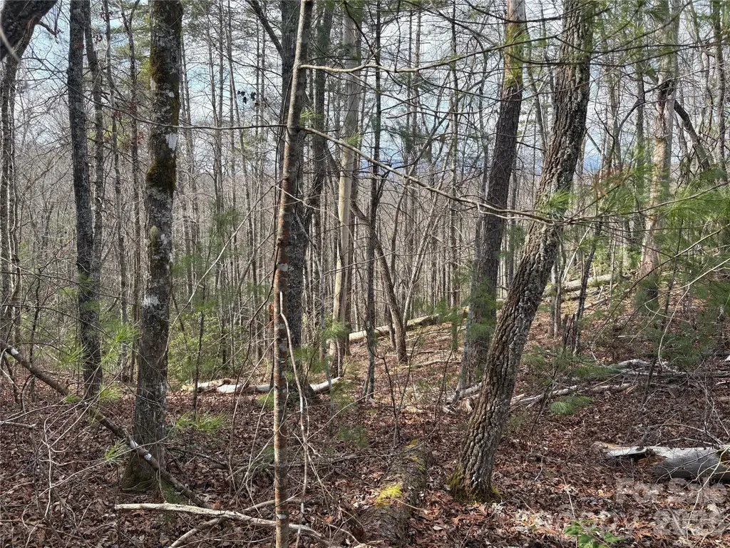 00 Round Hill Road Bryson City NC 28713