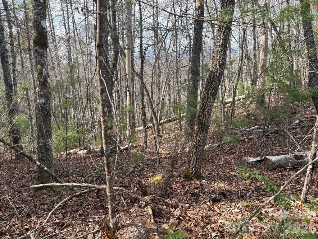 00 Round Hill Road Bryson City NC 28713