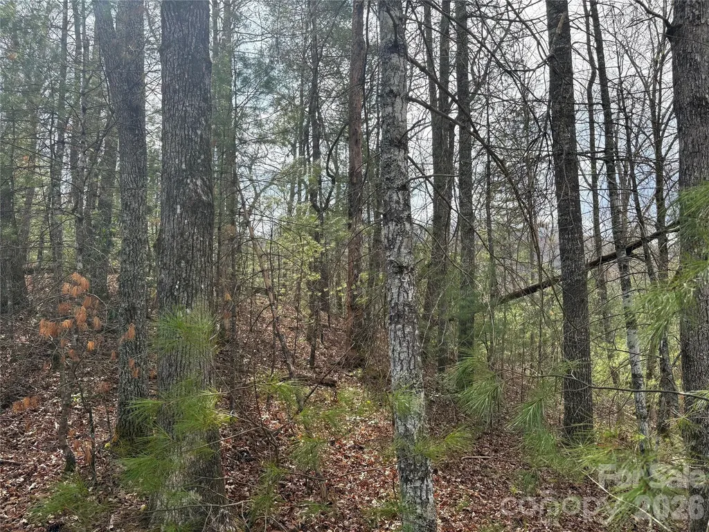 00 Round Hill Road Bryson City NC 28713