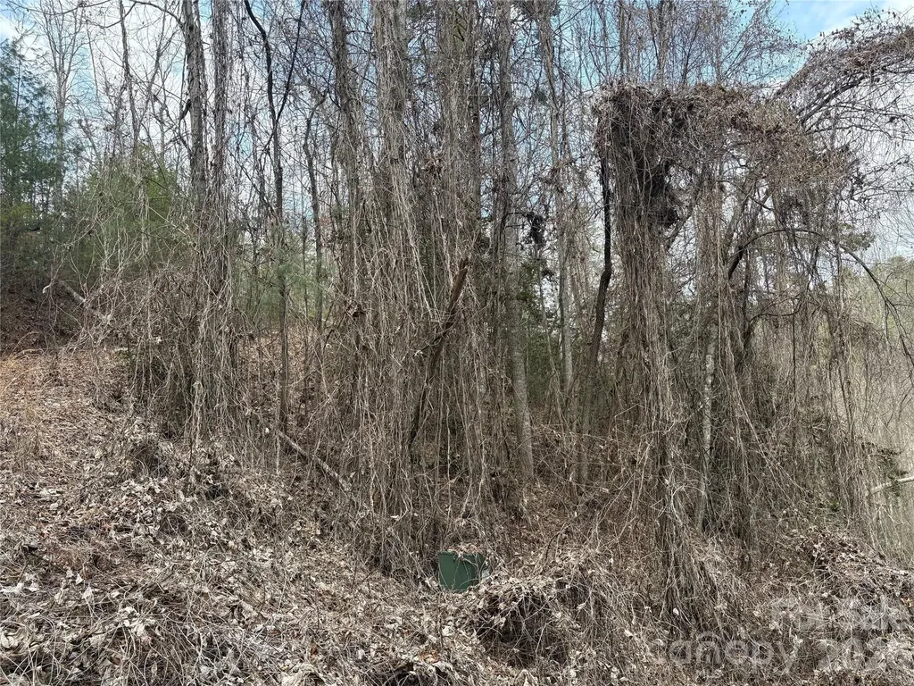 00 Round Hill Road Bryson City NC 28713