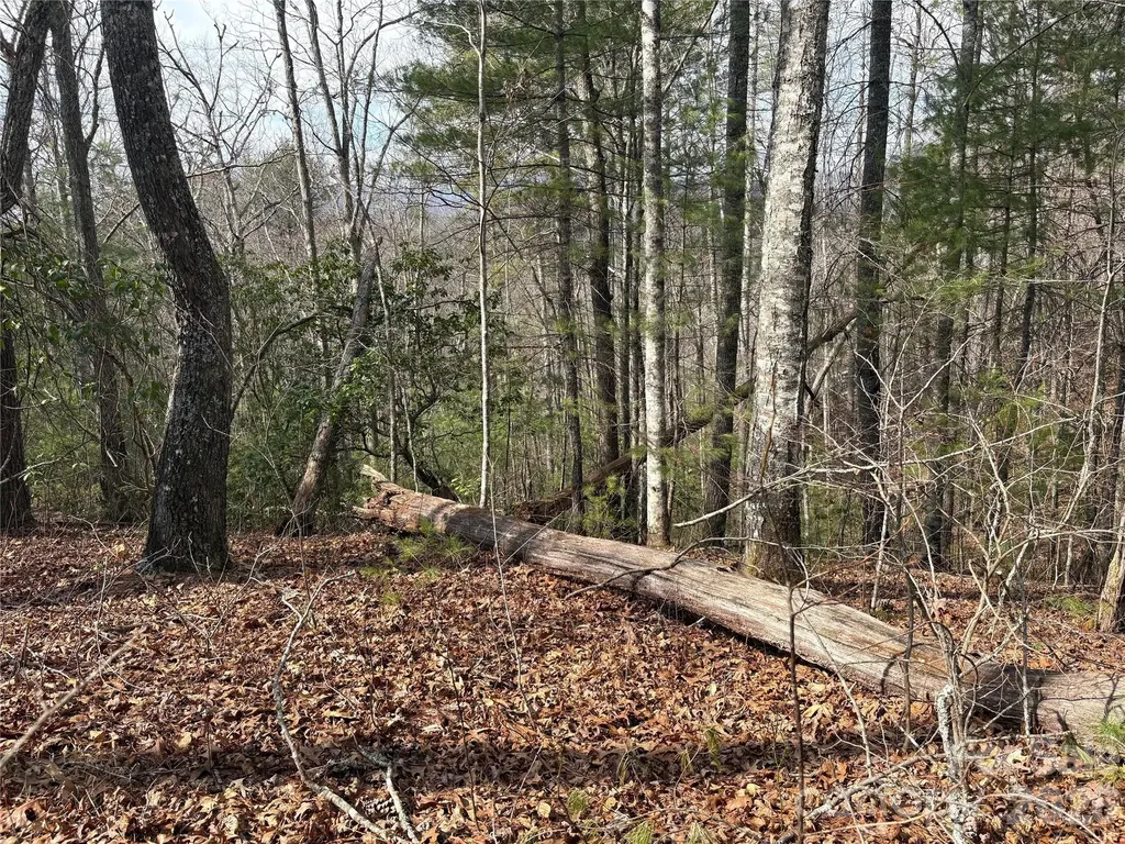 00 Round Hill Road Bryson City NC 28713