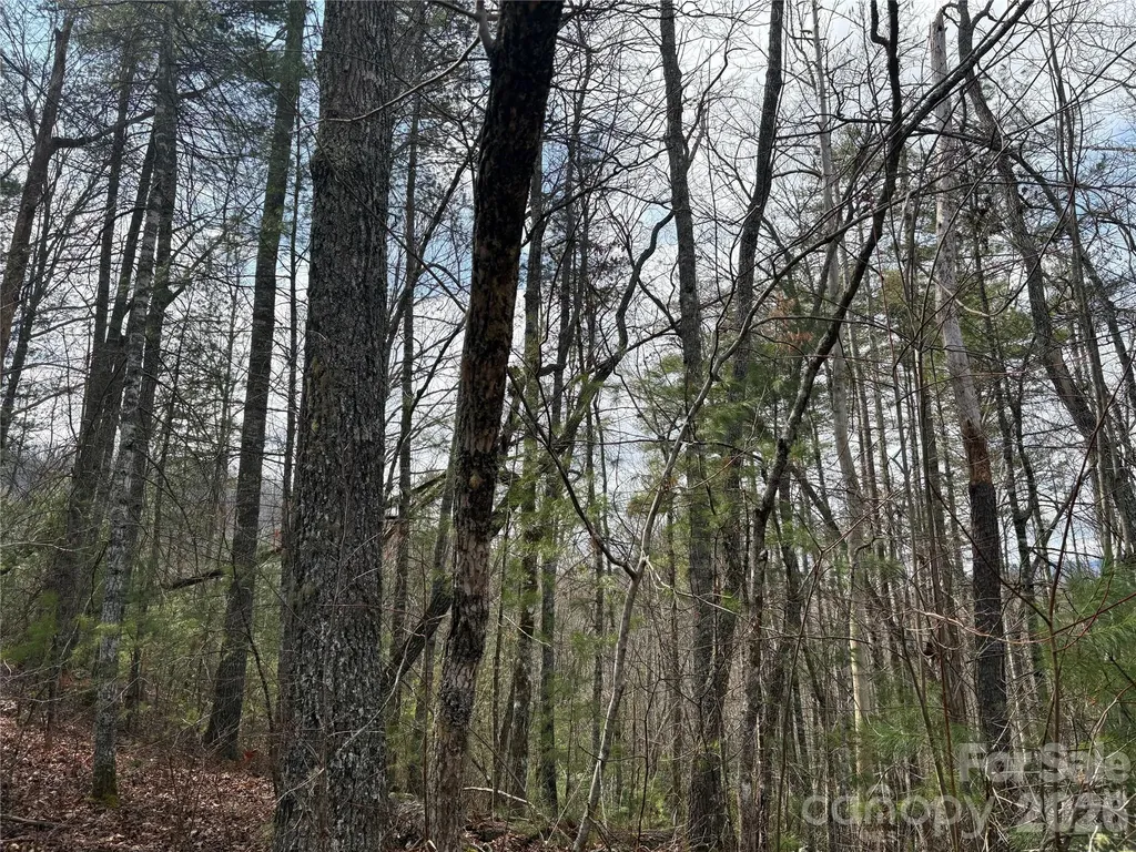 00 Round Hill Road Bryson City NC 28713