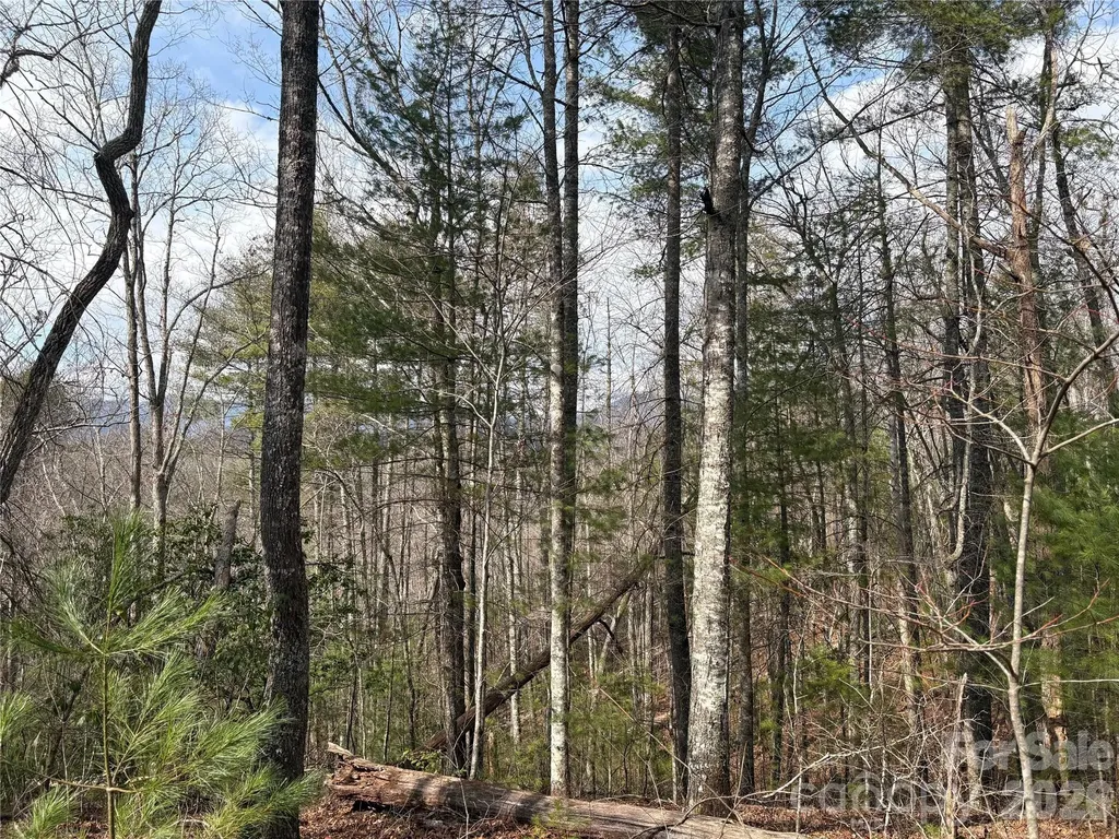 00 Round Hill Road Bryson City NC 28713