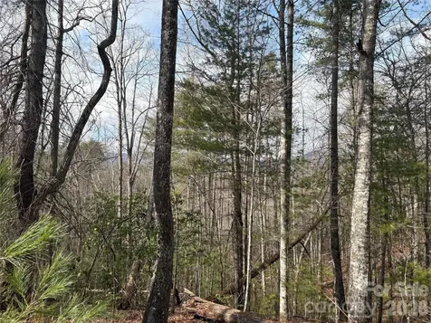 00 Round Hill Road Bryson City NC 28713