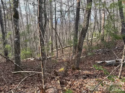 00 Round Hill Road Bryson City NC 28713